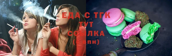 спиды Каменногорск