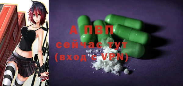 спиды Каменногорск