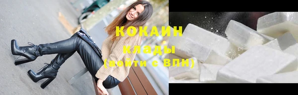 спиды Каменногорск