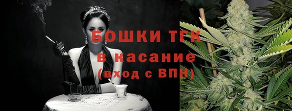 спиды Каменногорск
